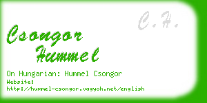 csongor hummel business card